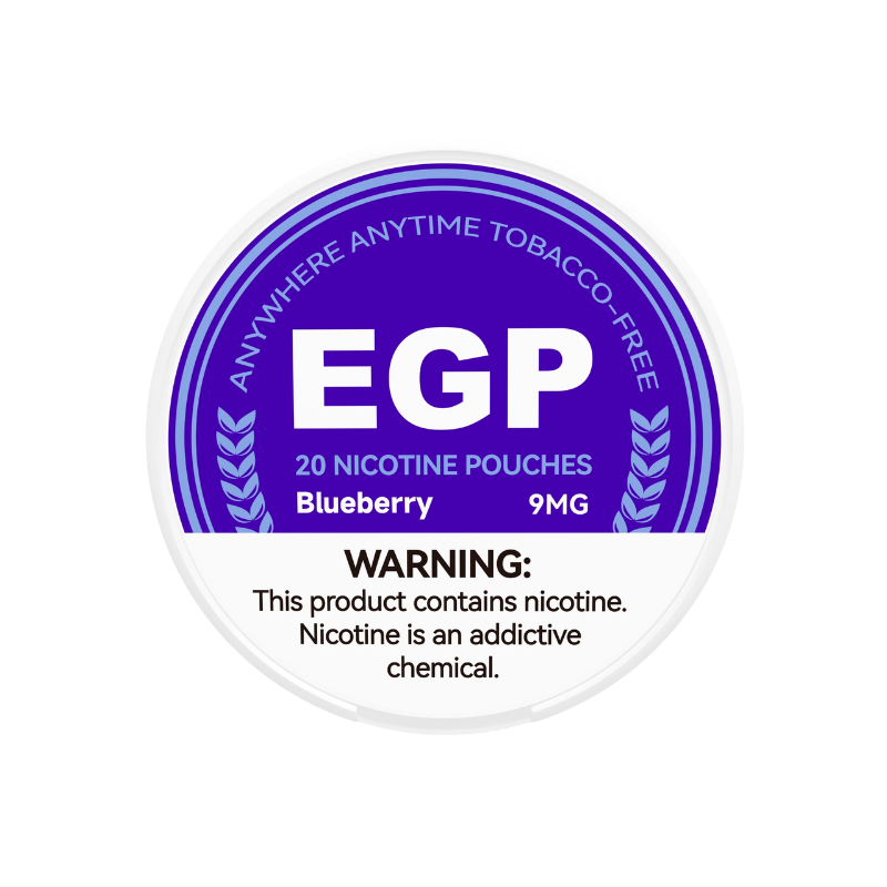 Blueberry Nicotine Pouches picture