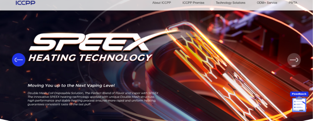 ICCPP website picture