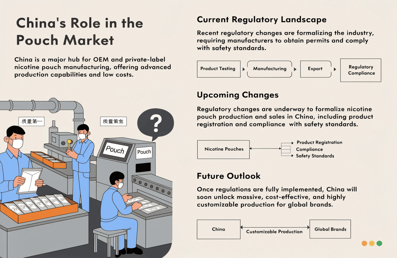 A visual representation of China's role in the global nicotine pouch manufacturing market.