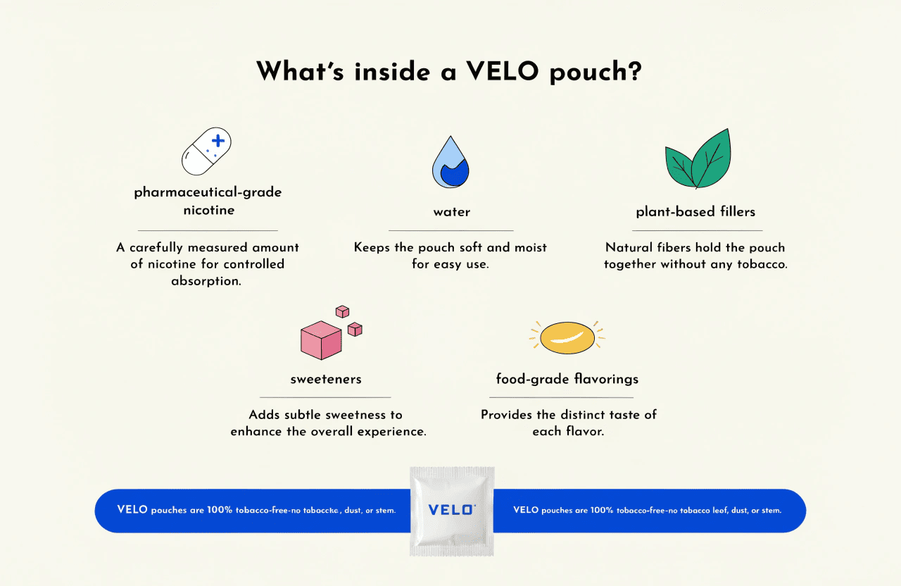 An infographic showing the clean ingredients of a VELO pouch.