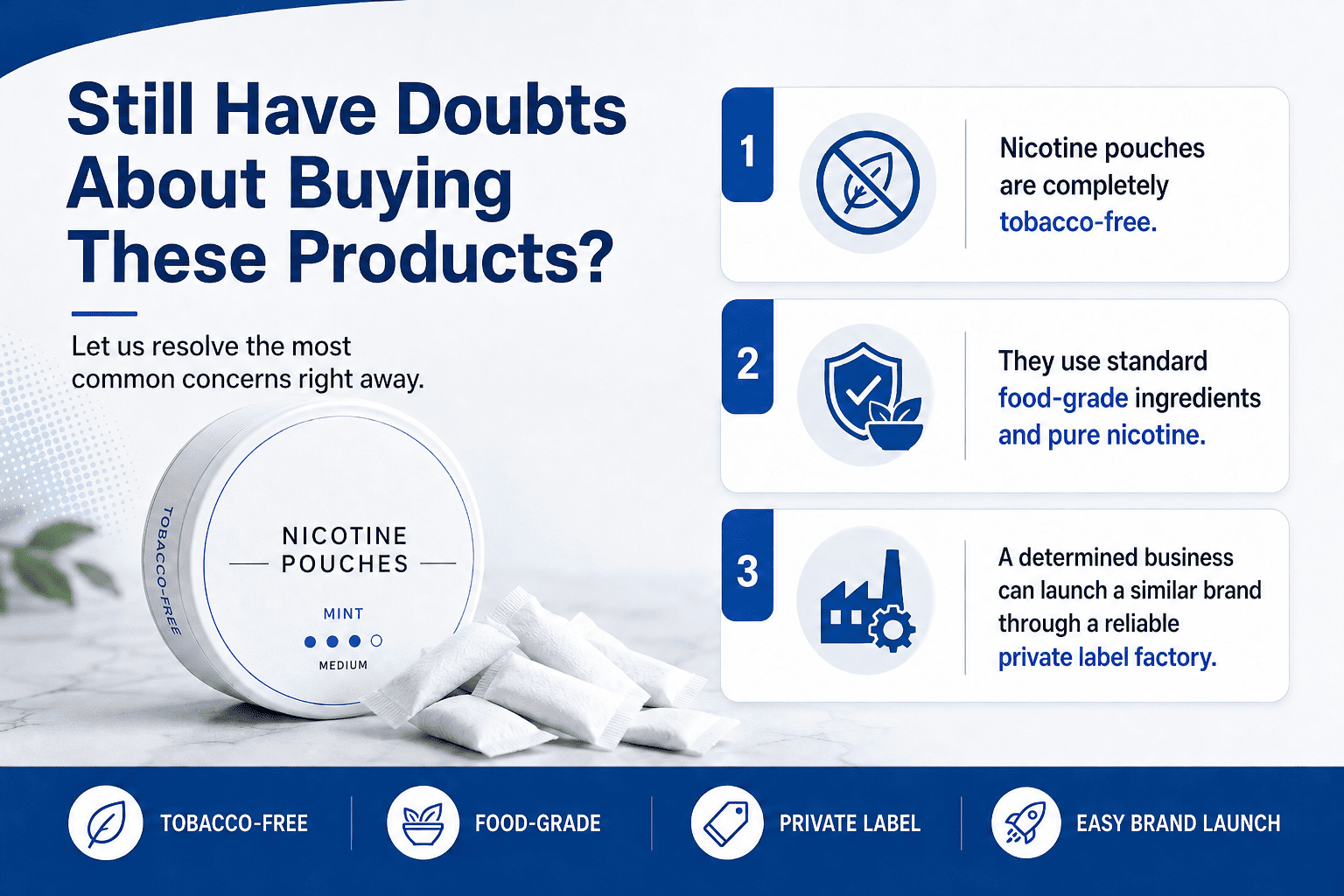 FAQ section for Bridge nicotine pouches