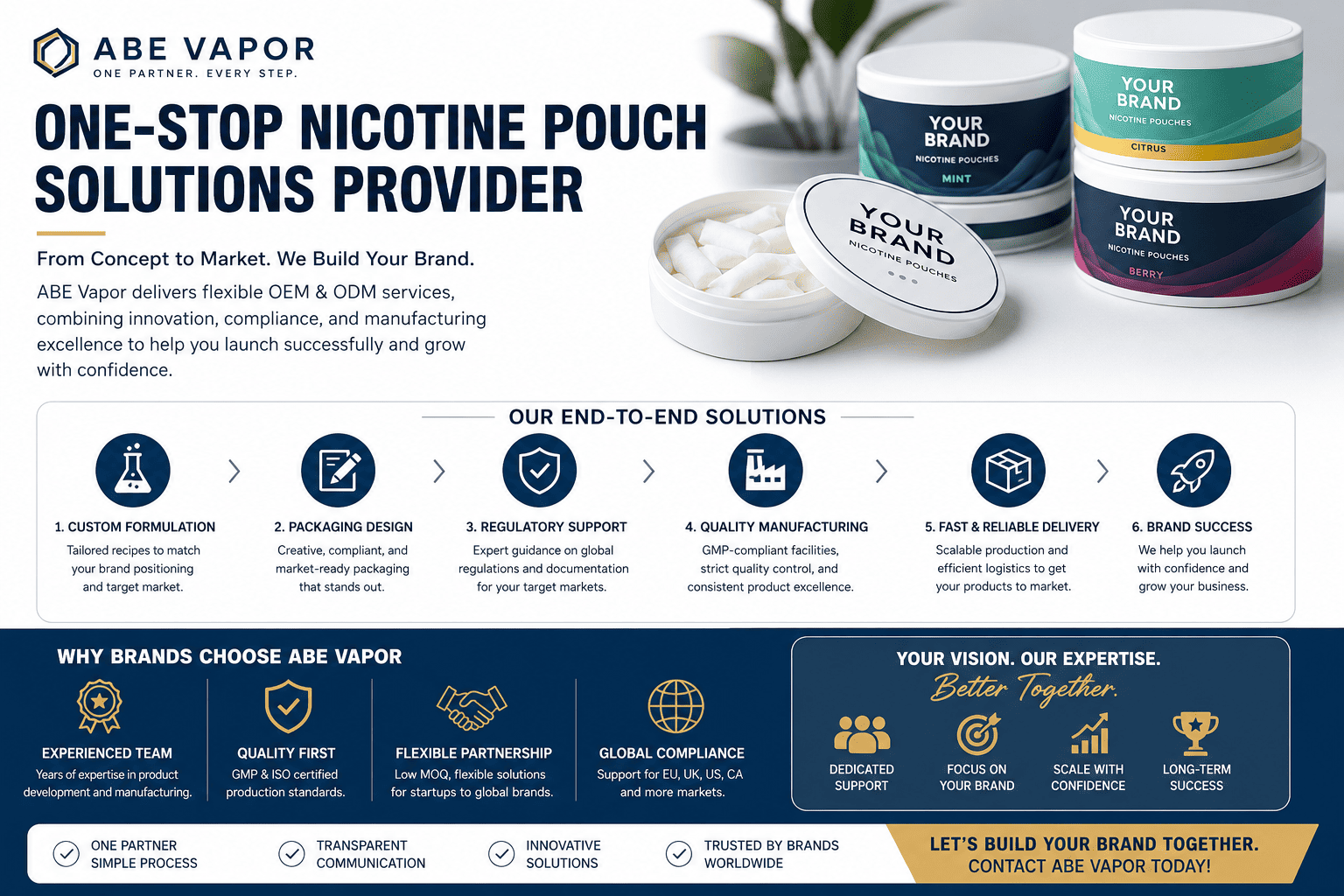 BAE Vapor nicotine pouch OEM ODM partner