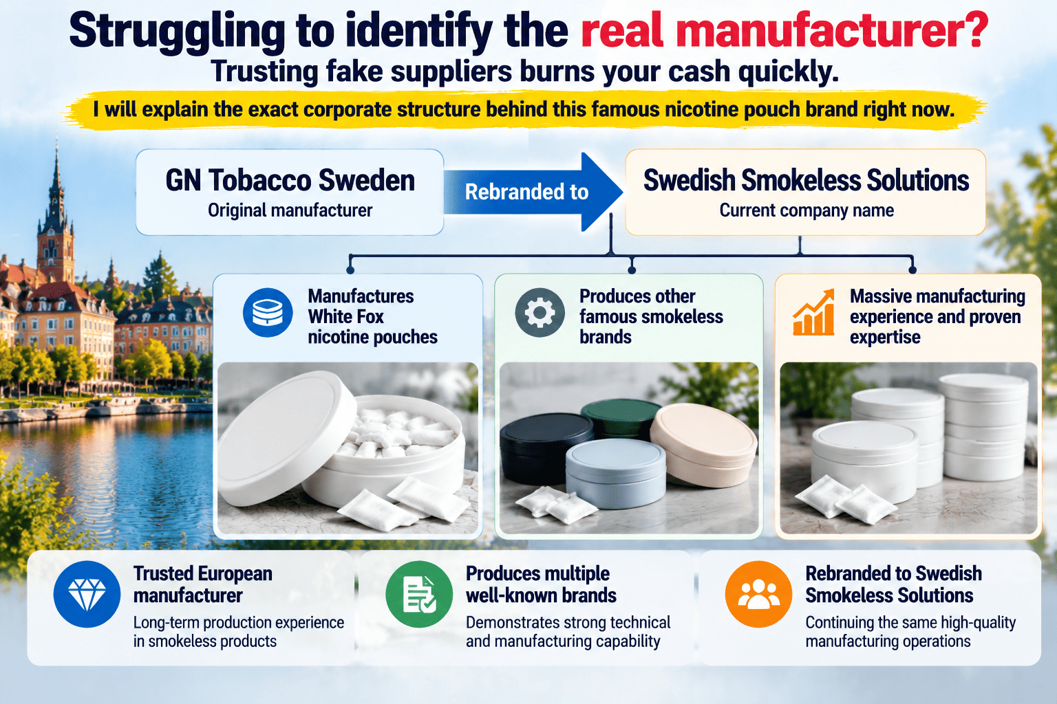Corporate structure of GN Tobacco Sweden